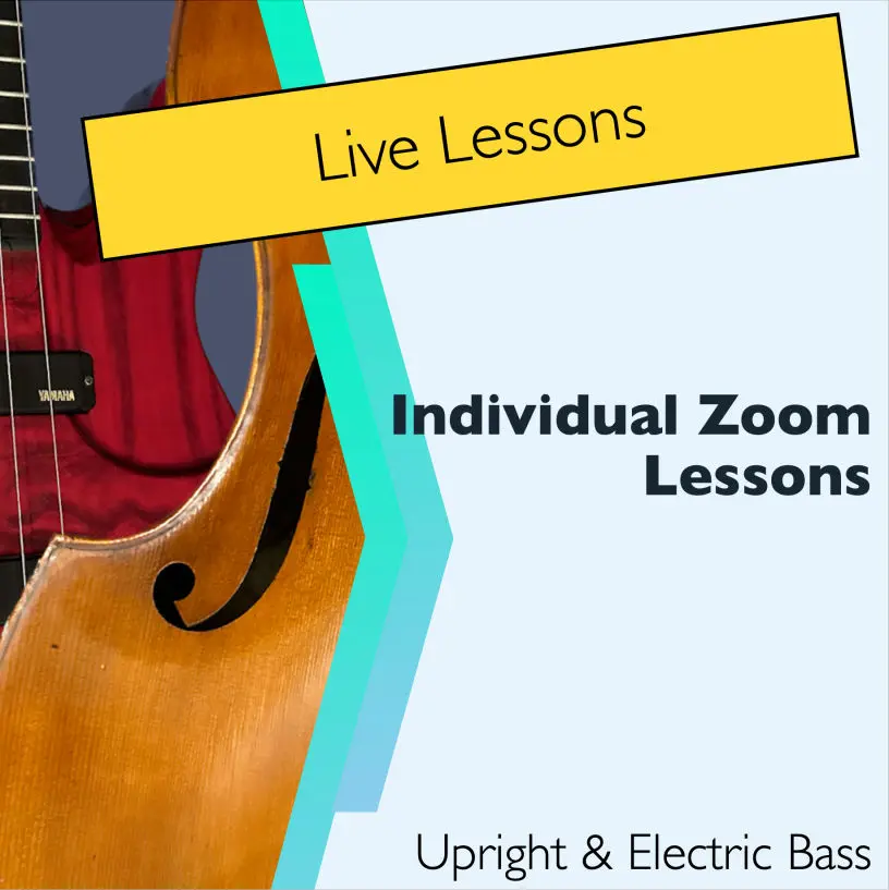 Zoom live lessons